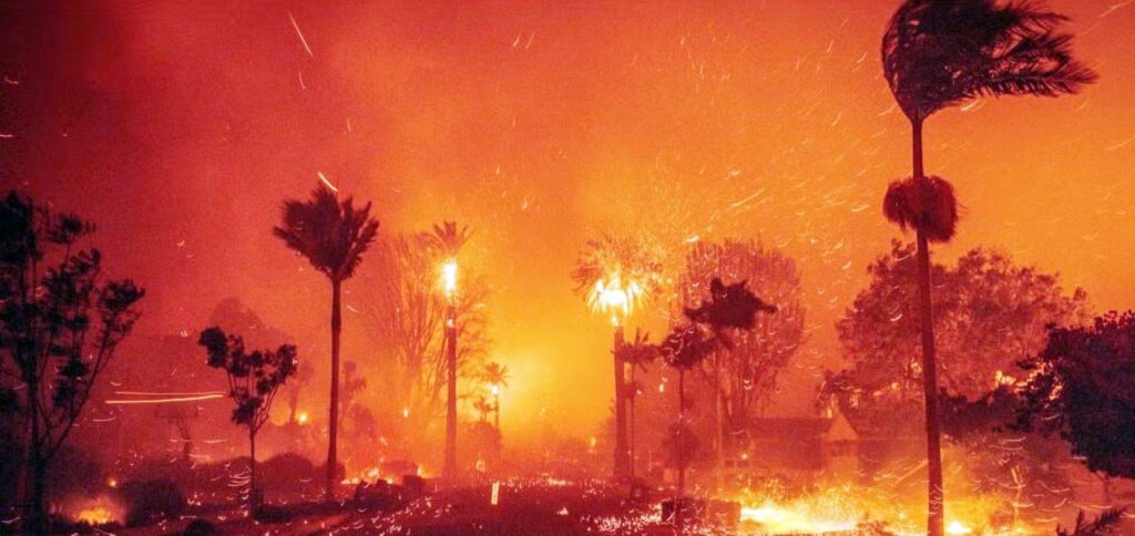 wildfires